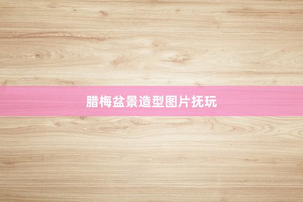 腊梅盆景造型图片抚玩