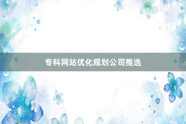 专科网站优化规划公司推选